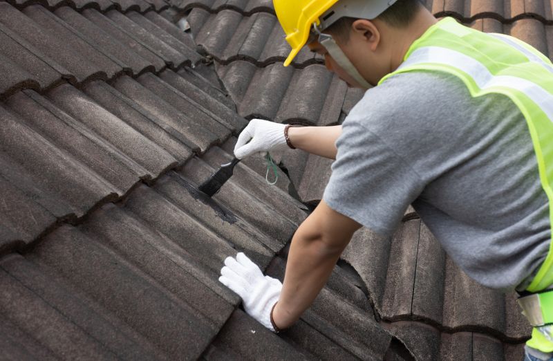 Roof Repair in Raleigh